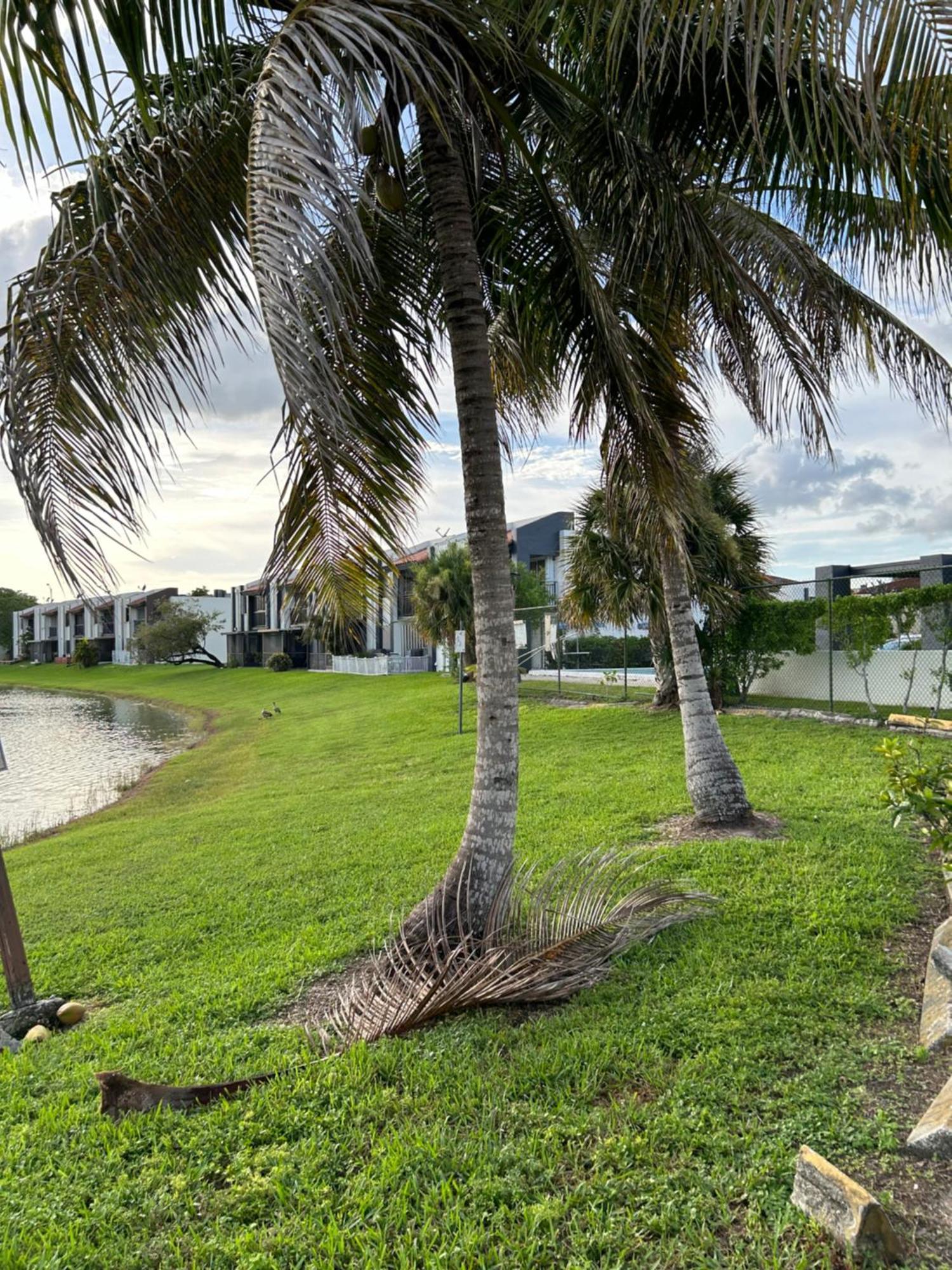 Beautiful Apartment With Very Elegant Colonial Decoration Tamiami Exterior foto